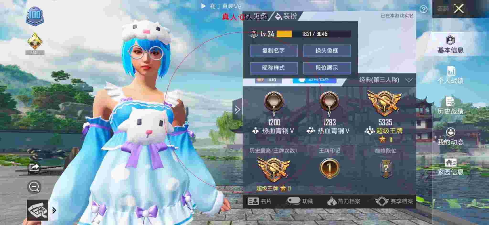 和平精英布丁直装透视 - 虚拟货品的类目辅助预览图